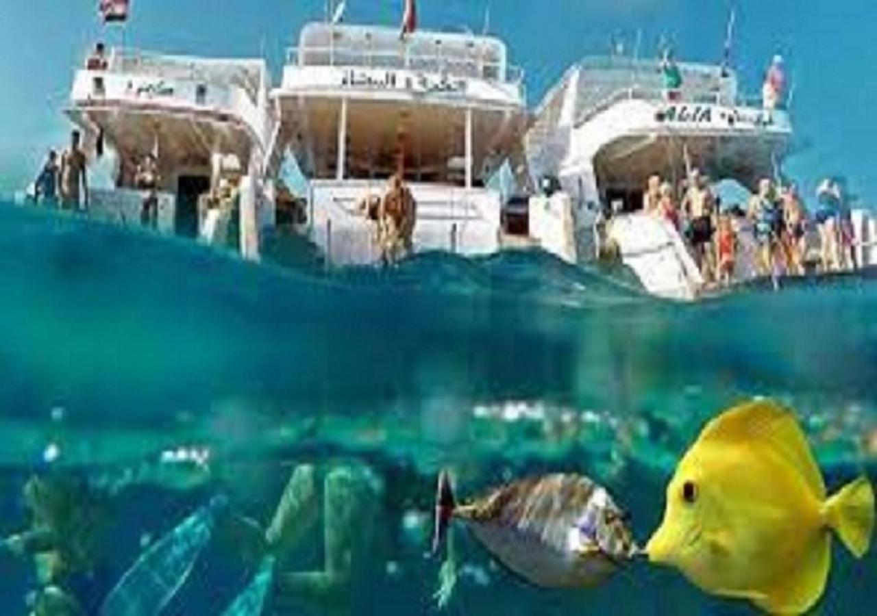 Joynant-Gouna Kite Road-2Room Mangroovy Free Beach Access - Pool View- Hurghada Exteriér fotografie